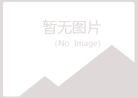 白银平川匆匆造纸有限公司